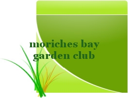 Moriches Bay Garden Club Center Moriches Ny