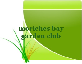 Moriches Bay Garden Club Center Moriches Ny